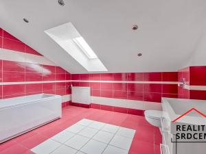 Pronájem bytu 3+kk, Paskov, Náměstí, 130 m2