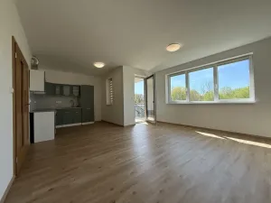 Pronájem bytu 3+kk, Kařez, 81 m2