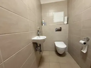 Pronájem bytu 3+kk, Kařez, 81 m2