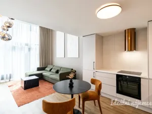 Pronájem bytu 1+kk, Praha - Holešovice, V háji, 43 m2