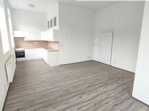 Pronájem bytu 2+kk, Děčín, Vilsnická, 67 m2