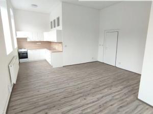 Pronájem bytu 2+kk, Děčín, Vilsnická, 67 m2