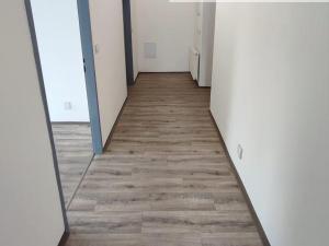 Pronájem bytu 2+kk, Děčín, Vilsnická, 67 m2
