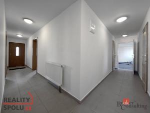 Pronájem výrobních prostor, Opava - Předměstí, 337 m2