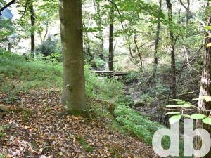 Prodej chaty, Dalovice, 17 m2