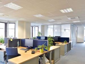 Pronájem kanceláře, Praha - Chodov, Hráského, 293 m2