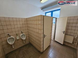Pronájem skladu, Dolní Kalná, 1500 m2
