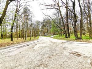 Pronájem bytu 1+1, Milovice - Mladá, Kaštanová, 43 m2