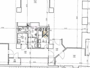 Pronájem obchodního prostoru, Praha - Radlice, Radlická, 511 m2