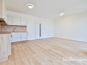 Pronájem bytu 2+kk, Brno, Mášova, 70 m2
