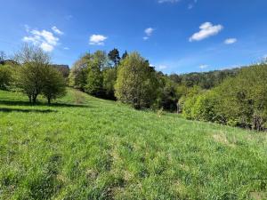 Prodej komerčního pozemku, Blansko - Klepačov, 10598 m2