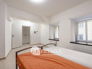 Pronájem bytu 1+1, Teplice, U Hadích lázní, 52 m2