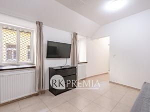 Pronájem bytu 1+1, Teplice, U Hadích lázní, 52 m2