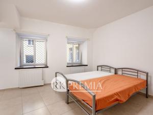 Pronájem bytu 1+1, Teplice, U Hadích lázní, 52 m2