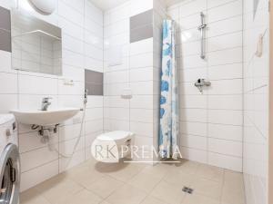 Pronájem bytu 1+1, Teplice, U Hadích lázní, 52 m2