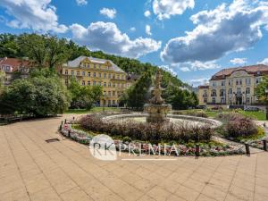 Pronájem bytu 1+1, Teplice, U Hadích lázní, 52 m2