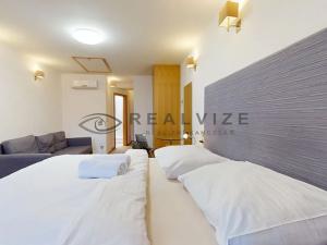Prodej bytu 1+kk, České Budějovice, Široká, 35 m2