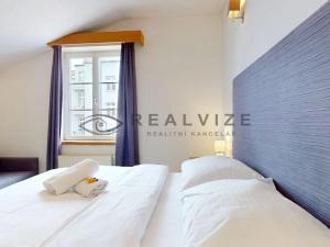 Prodej bytu 1+kk, České Budějovice, Široká, 35 m2