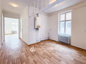 Prodej rodinného domu, Znojmo, Horní Česká, 300 m2