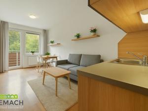 Prodej bytu 1+kk, Všemina, 25 m2