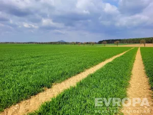 Prodej pole, Čistá, 27281 m2