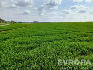 Prodej pole, Čistá, 27281 m2