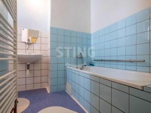Prodej rodinného domu, Dolní Benešov, Na Březích, 200 m2