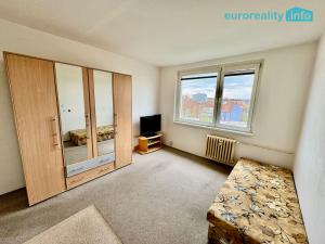 Pronájem bytu 1+kk, Cheb, Palackého, 20 m2