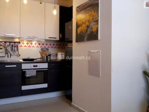Prodej bytu 2+1, Karlovy Vary, Vítězná, 106 m2