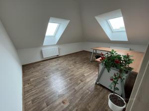Pronájem kanceláře, Brno - Horní Heršpice, Sokolova, 45 m2