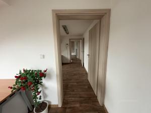 Pronájem kanceláře, Brno - Horní Heršpice, Sokolova, 45 m2