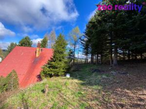 Prodej chalupy, Loučná pod Klínovcem - Loučná, 90 m2