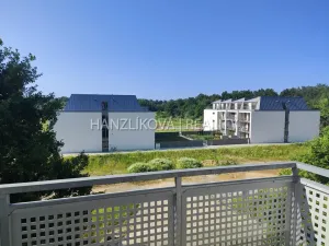 Pronájem bytu 2+kk, České Budějovice - České Budějovice 2, U Boru, 50 m2