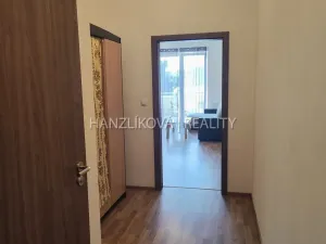 Pronájem bytu 2+kk, České Budějovice - České Budějovice 2, U Boru, 50 m2