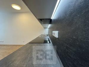 Pronájem bytu 2+kk, Brno, Stavební, 60 m2