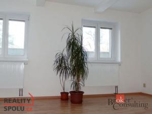 Pronájem bytu 1+1, Opava - Předměstí, Hobzíkova, 59 m2