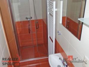 Pronájem bytu 1+1, Opava - Předměstí, Hobzíkova, 59 m2