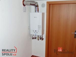 Pronájem bytu 1+1, Opava - Předměstí, Hobzíkova, 59 m2