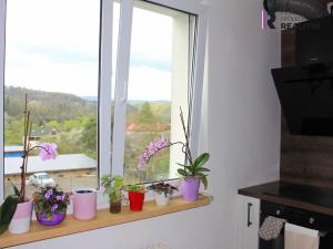 Pronájem bytu 3+1, Velichov, 69 m2
