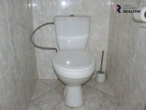 Pronájem bytu 3+1, Velichov, 69 m2