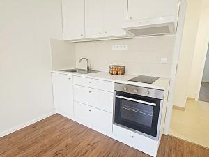 Pronájem bytu 2+kk, Brno, Vondrákova, 38 m2