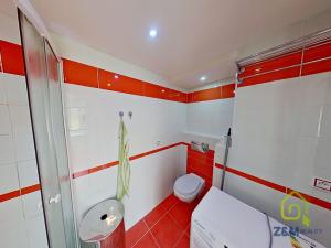 Prodej bytu 1+kk, Karlovy Vary, Havlíčkova, 30 m2