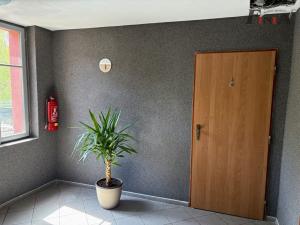 Pronájem bytu 2+kk, Česká Lípa, Liberecká, 41 m2