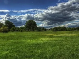 Prodej louky, Jankov, 18122 m2