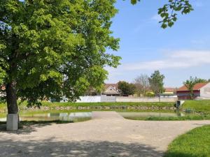 Pronájem bytu 1+1, Šanov, Zahradní, 50 m2