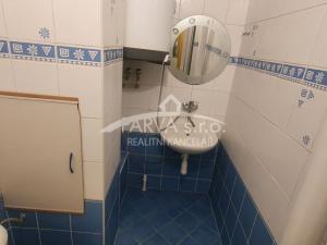 Pronájem bytu 1+kk, Plzeň - Východní Předměstí, Brojova, 20 m2