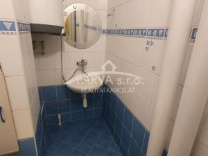 Pronájem bytu 1+kk, Plzeň - Východní Předměstí, Brojova, 20 m2