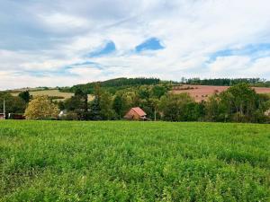 Prodej pozemku pro bydlení, Blšany - Malá Černoc, 1500 m2