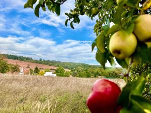 Prodej pozemku pro bydlení, Blšany - Malá Černoc, 1500 m2