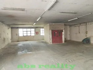 Pronájem skladu, Straky, 850 m2
